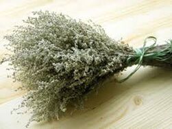 Wormwood powder helps fight parasites