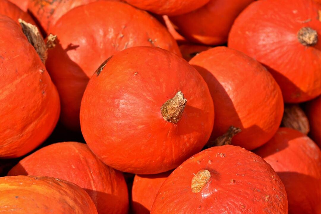 orange pumpkin against earthworms
