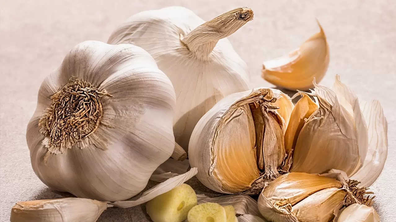 recipes with garlic against earthworms