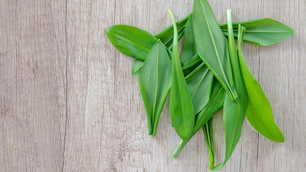 wild garlic against worms