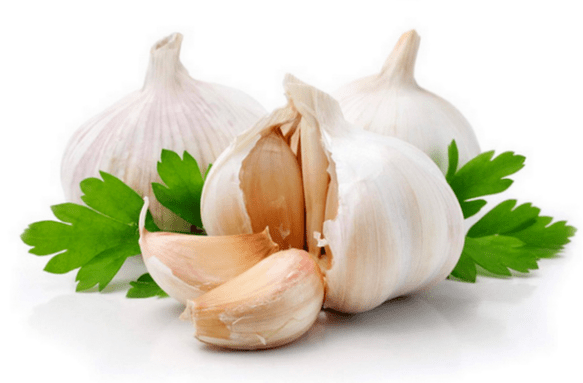garlic for earthworms