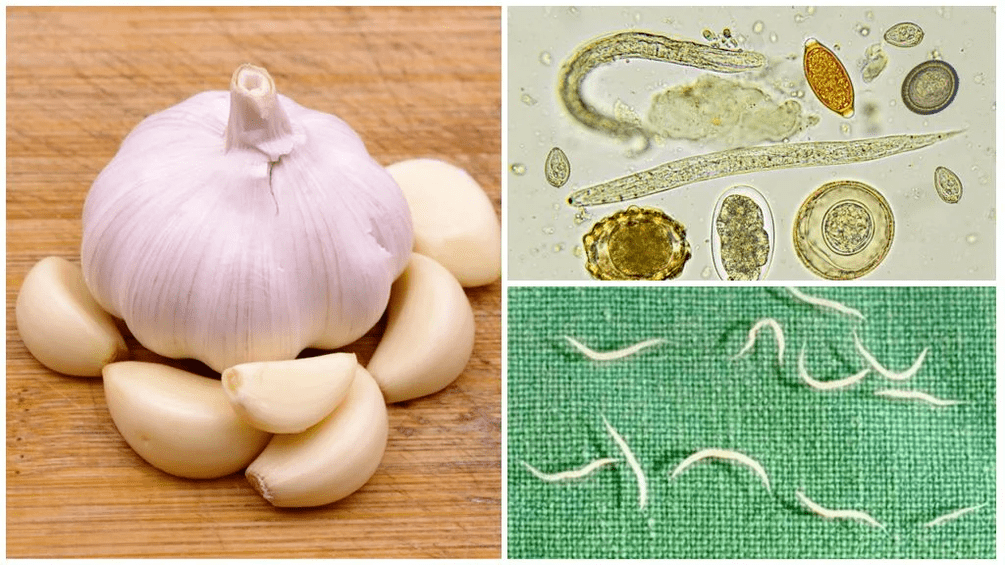 parasites in the folkloric methods of the body
