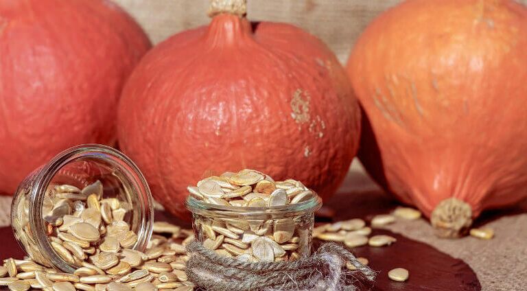Parasitic pumpkin seeds