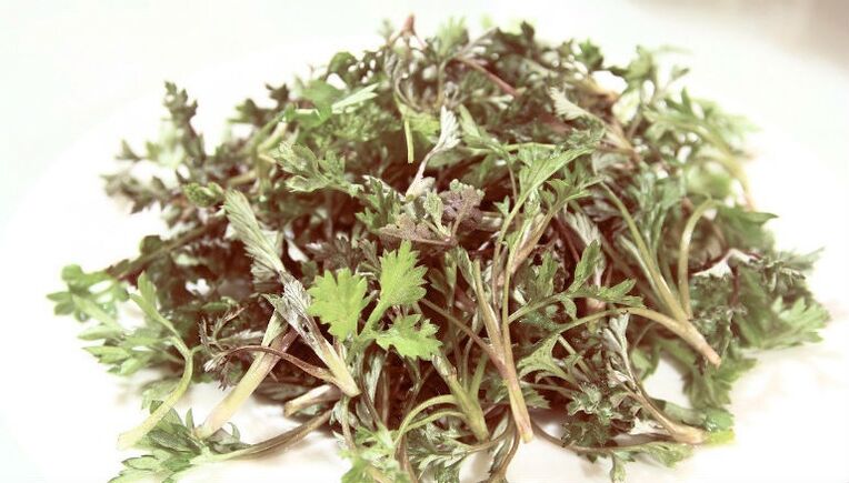 Parasitic wormwood